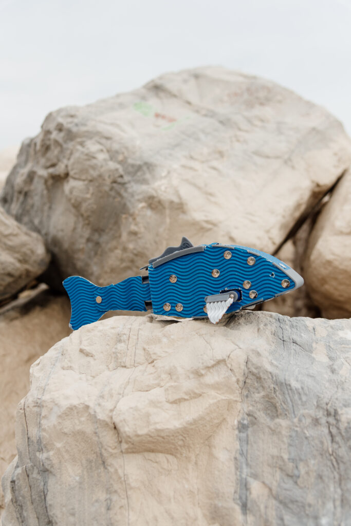 PaperFish