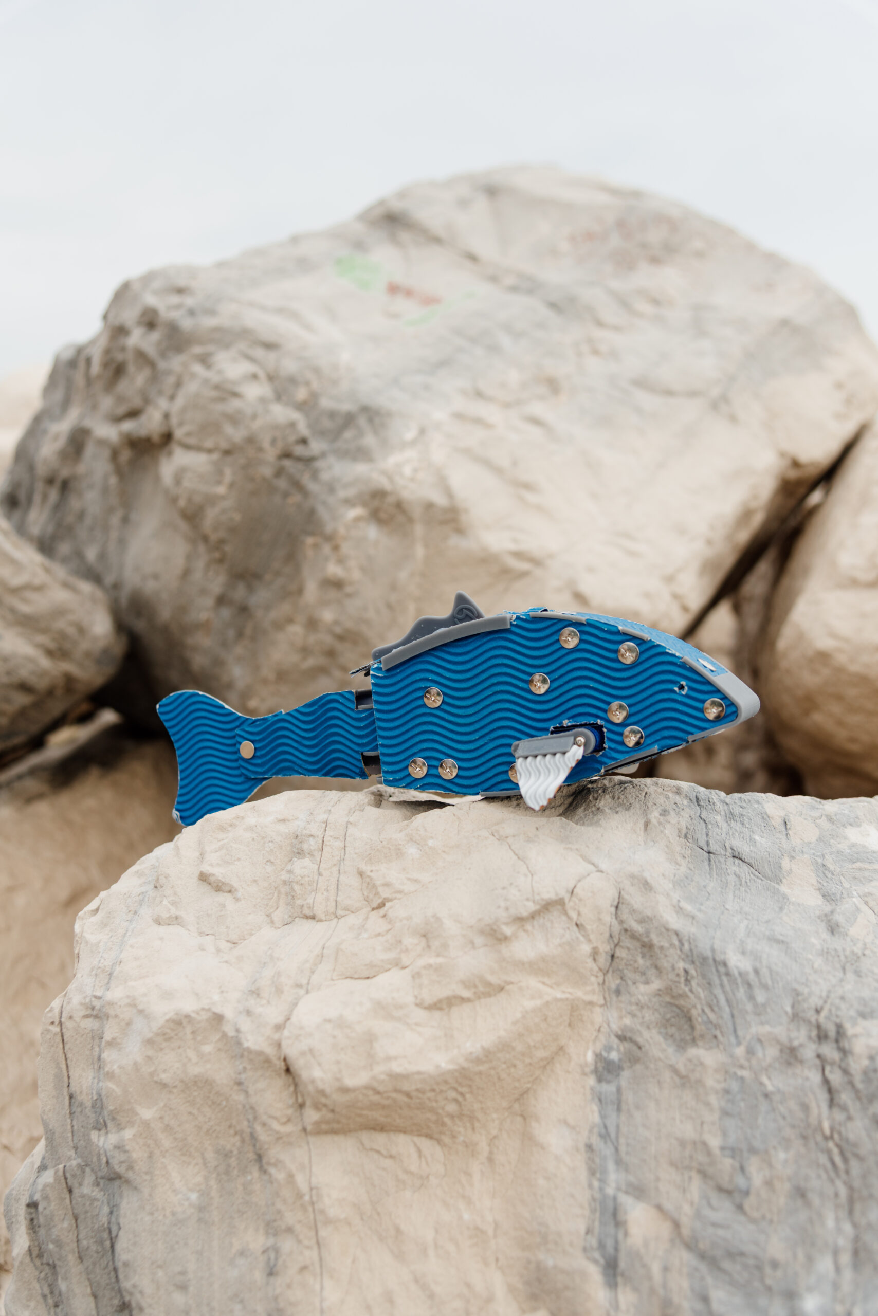 PaperFish
